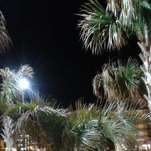 Meet your Posher, Nilema